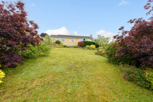 Garden- click for photo gallery